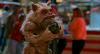GHOULIES 2 - REPRODUCTION CAT GHOULIE OFFICIELLE TAILLE 1/1 (CAT GHOULIE PUPPET PROP - TOT STUDIOS)