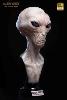 THE DULCE WARS - BUSTE ALIEN GREY LIMITED EDITION TAILLE REELLE 1/1 (LIFE SIZE BUST - ECC STUDIOS)