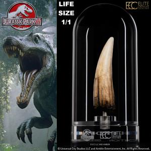 JURASSIC PARK 3 - DENT SPINOSAURUS TAILLE REELLE ECHELLE 1:1 OFFICIELLE 14 CM LIMITED EDITION NUMEROTEE AVEC SOCLE VITRINE (TOOTH PROP REPLICA - UNIVERSAL™ - ELITE CREATURE COLLECTIBLES)