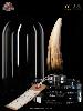 JURASSIC PARK 3 - DENT SPINOSAURUS TAILLE REELLE ECHELLE 1:1 OFFICIELLE 14 CM LIMITED EDITION NUMEROTEE AVEC SOCLE VITRINE (TOOTH PROP REPLICA - UNIVERSAL™ - ELITE CREATURE COLLECTIBLES)