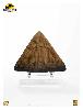 JURASSIC PARK - POINTE DE TETE DE TRICERATOPS TAILLE REELLE ECHELLE 1:1 OFFICIELLE LIMITED EDITION NUMEROTEE (HEAD SPIKE PROP REPLICA - UNIVERSAL™ - ELITE CREATURE COLLECTIBLES)