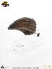 JURASSIC PARK - GRIFFE DE MAIN DE LA PATTE AVANT T-REX TAILLE REELLE ECHELLE 1:1 OFFICIELLE LIMITED EDITION NUMEROTEE (HAND CLAW PROP REPLICA - UNIVERSAL™ - ELITE CREATURE COLLECTIBLES)