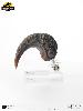 JURASSIC PARK - GRIFFE DE PIED DE LA PATTE ARRIERE VELOCIRAPTOR TAILLE REELLE ECHELLE 1:1 OFFICIELLE LIMITED EDITION NUMEROTEE (FOOT CLAW PROP REPLICA - UNIVERSAL™ - ELITE CREATURE COLLECTIBLES)