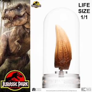 JURASSIC PARK - DENT T-REX TAILLE REELLE ECHELLE 1:1 OFFICIELLE LIMITED EDITION NUMEROTEE (TOOTH PROP REPLICA - UNIVERSAL™ - ELITE CREATURE COLLECTIBLES)