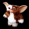 GREMLINS - REPRODUCTION GIZMO TAILLE 1/1 OFFICIELLE (GIZMO PUPPET PROP - TOT STUDIOS)