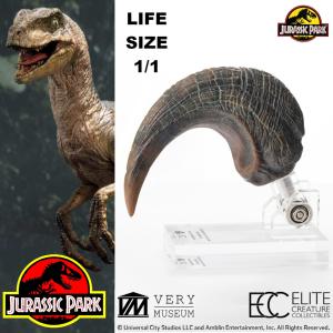 JURASSIC PARK - GRIFFE DE PIED DE LA PATTE ARRIERE VELOCIRAPTOR TAILLE REELLE ECHELLE 1:1 OFFICIELLE LIMITED EDITION NUMEROTEE (FOOT CLAW PROP REPLICA - UNIVERSAL™ - ELITE CREATURE COLLECTIBLES)