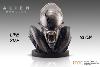 ALIEN ROMULUS - BUSTE ALIEN XENOMORPH 84 x 43 x 53 CM LIMITED EDITION TAILLE REELLE 1/1 (LIFE SIZE BUST - HOLLYWOOD COLLECTIBLES GROUP)