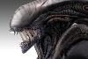 ALIEN ROMULUS - BUSTE ALIEN XENOMORPH 84 x 43 x 53 CM LIMITED EDITION TAILLE REELLE 1/1 (LIFE SIZE BUST - HOLLYWOOD COLLECTIBLES GROUP)