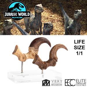 JURASSIC PARK - GRIFFE DE PIED DE LA PATTE ARRIERE VELOCIRAPTOR + VERSION FOSILLISÉE TAILLE REELLE ECHELLE 1:1 LIMITED EDITION NUMEROTEE (FOOT CLAW & FOSSIL PROP REPLICA - ELITE CREATURE COLLECTIBLES)