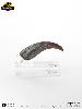 JURASSIC PARK - GRIFFE DE MAIN DE LA PATTE AVANT VELOCIRAPTOR TAILLE REELLE ECHELLE 1:1 OFFICIELLE LIMITED EDITION NUMEROTEE (HAND CLAW PROP REPLICA - UNIVERSAL™ - ELITE CREATURE COLLECTIBLES)