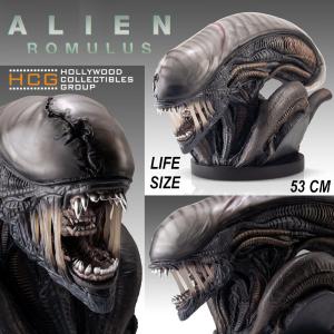 ALIEN ROMULUS - BUSTE ALIEN XENOMORPH 84 x 43 x 53 CM LIMITED EDITION TAILLE REELLE 1/1 (LIFE SIZE BUST - HOLLYWOOD COLLECTIBLES GROUP)