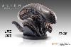 ALIEN ROMULUS - BUSTE ALIEN XENOMORPH 84 x 43 x 53 CM LIMITED EDITION TAILLE REELLE 1/1 (LIFE SIZE BUST - HOLLYWOOD COLLECTIBLES GROUP)