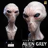 THE DULCE WARS - BUSTE ALIEN GREY LIMITED EDITION TAILLE REELLE 1/1 (LIFE SIZE BUST - ECC STUDIOS)