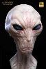 THE DULCE WARS - BUSTE ALIEN GREY LIMITED EDITION TAILLE REELLE 1/1 (LIFE SIZE BUST - ECC STUDIOS)