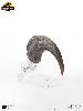 JURASSIC PARK - GRIFFE DE PIED DE LA PATTE ARRIERE VELOCIRAPTOR TAILLE REELLE ECHELLE 1:1 OFFICIELLE LIMITED EDITION NUMEROTEE (FOOT CLAW PROP REPLICA - UNIVERSAL™ - ELITE CREATURE COLLECTIBLES)