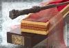 HARRY POTTER - BAGUETTE OFFICIELLE AVEC BOITE OLLIVANDER (MODELE EN RESINE HAUTE FINITION - THE NOBLE COLLECTION)