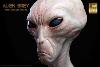 THE DULCE WARS - BUSTE ALIEN GREY LIMITED EDITION TAILLE REELLE 1/1 (LIFE SIZE BUST - ECC STUDIOS)