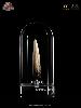 JURASSIC PARK 3 - DENT SPINOSAURUS TAILLE REELLE ECHELLE 1:1 OFFICIELLE 14 CM LIMITED EDITION NUMEROTEE AVEC SOCLE VITRINE (TOOTH PROP REPLICA - UNIVERSAL™ - ELITE CREATURE COLLECTIBLES)