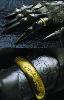 LOTR (LE SEIGNEUR DES ANNEAUX) - SAURON GANTELET & ANNEAU OFFICIEL LIMITED EDITION (ECHELLE 1/1 - UNITED CUTLERY)