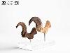 JURASSIC PARK - GRIFFE DE PIED DE LA PATTE ARRIERE VELOCIRAPTOR + VERSION FOSILLISÉE TAILLE REELLE ECHELLE 1:1 LIMITED EDITION NUMEROTEE (FOOT CLAW & FOSSIL PROP REPLICA - ELITE CREATURE COLLECTIBLES)