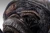 ALIEN ROMULUS - BUSTE ALIEN XENOMORPH 84 x 43 x 53 CM LIMITED EDITION TAILLE REELLE 1/1 (LIFE SIZE BUST - HOLLYWOOD COLLECTIBLES GROUP)