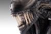 ALIEN ROMULUS - BUSTE ALIEN XENOMORPH 84 x 43 x 53 CM LIMITED EDITION TAILLE REELLE 1/1 (LIFE SIZE BUST - HOLLYWOOD COLLECTIBLES GROUP)