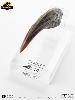 JURASSIC PARK - GRIFFE DE MAIN DE LA PATTE AVANT VELOCIRAPTOR TAILLE REELLE ECHELLE 1:1 OFFICIELLE LIMITED EDITION NUMEROTEE (HAND CLAW PROP REPLICA - UNIVERSAL™ - ELITE CREATURE COLLECTIBLES)