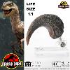 JURASSIC PARK - GRIFFE DE PIED DE LA PATTE ARRIERE VELOCIRAPTOR TAILLE REELLE ECHELLE 1:1 OFFICIELLE LIMITED EDITION NUMEROTEE (FOOT CLAW PROP REPLICA - UNIVERSAL™ - ELITE CREATURE COLLECTIBLES)