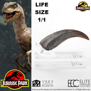 JURASSIC PARK - GRIFFE DE MAIN DE LA PATTE AVANT VELOCIRAPTOR TAILLE REELLE ECHELLE 1:1 OFFICIELLE LIMITED EDITION NUMEROTEE (HAND CLAW PROP REPLICA - UNIVERSAL™ - ELITE CREATURE COLLECTIBLES)