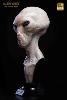 THE DULCE WARS - BUSTE ALIEN GREY LIMITED EDITION TAILLE REELLE 1/1 (LIFE SIZE BUST - ECC STUDIOS)