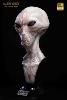 THE DULCE WARS - BUSTE ALIEN GREY LIMITED EDITION TAILLE REELLE 1/1 (LIFE SIZE BUST - ECC STUDIOS)